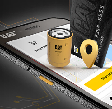 Cat Central Phone Screen